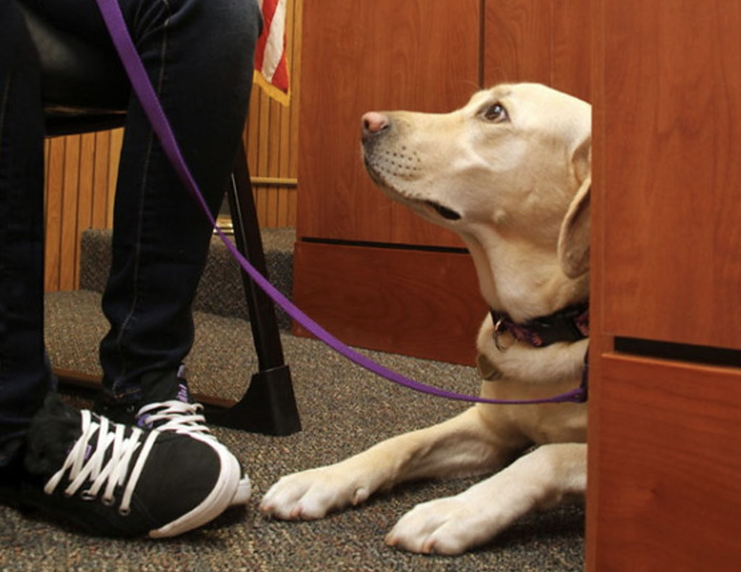 Courtroom – Courthouse Dogs® Foundation